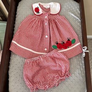 Baby Girl Lady Bug Outfit